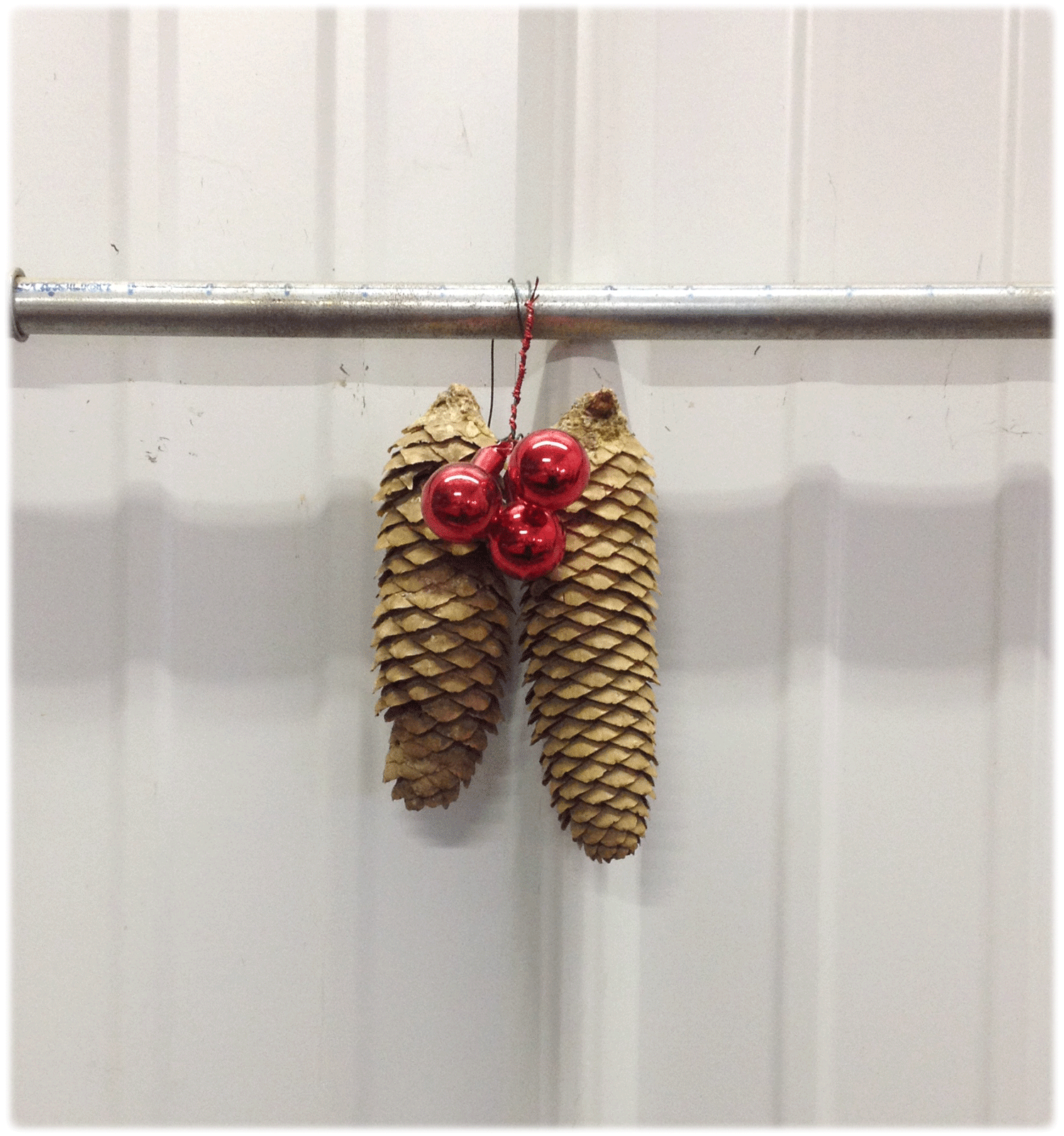 Pinecones-v2.png