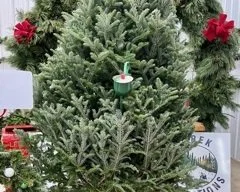 Tree Waterer.jpg