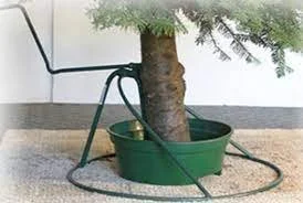 Tree in Stand.jpg