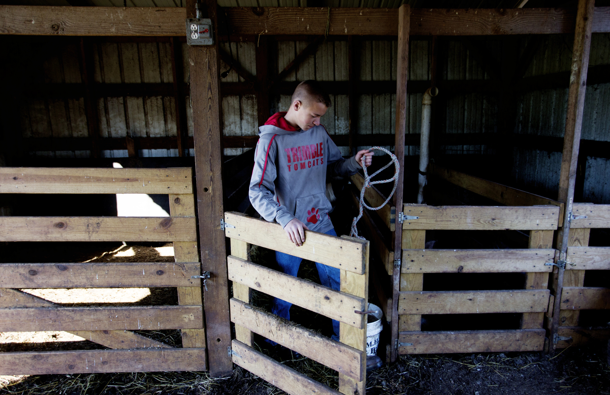  Weber steps out of an animal pen in his family's barn where they also keep several pigs. 