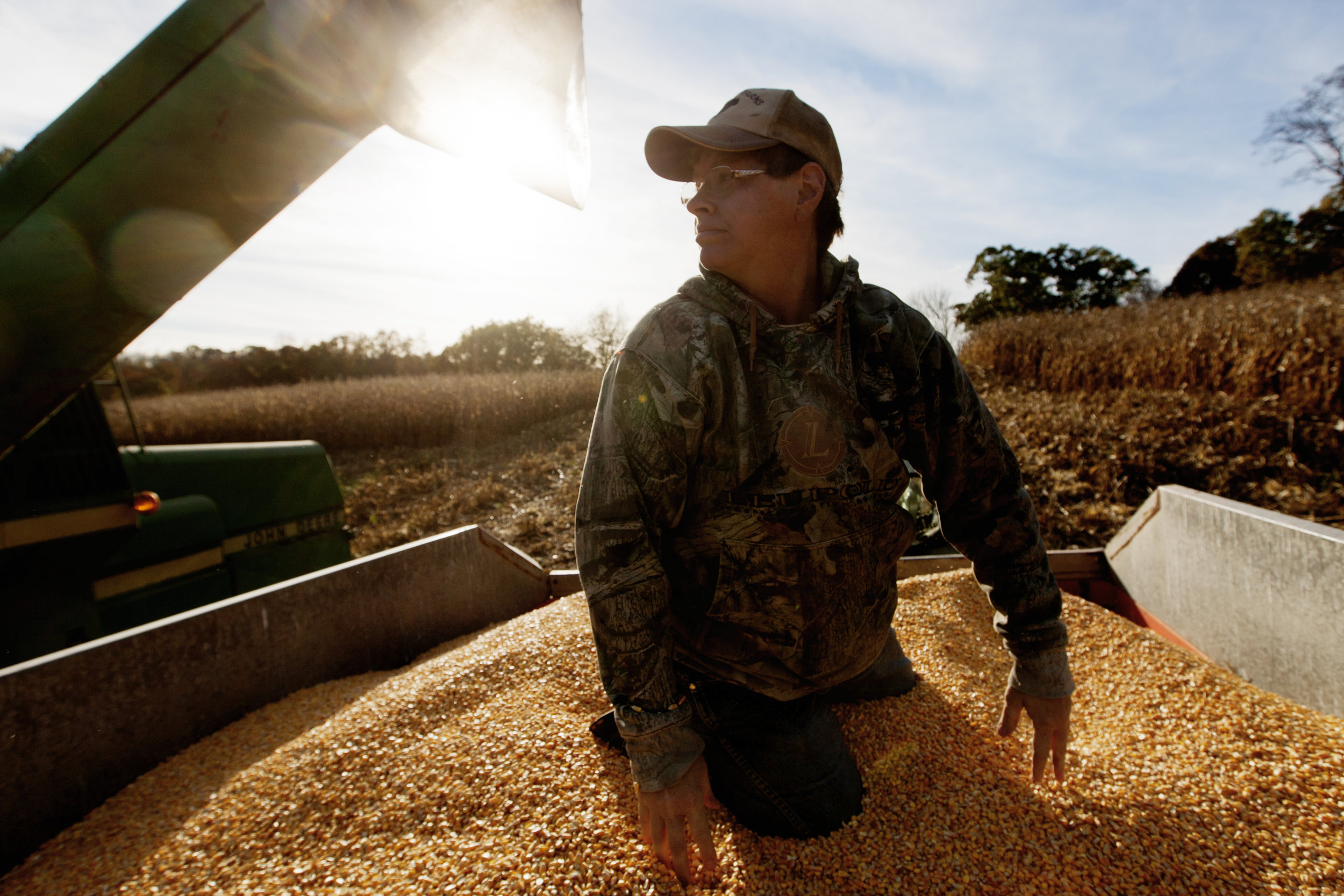  Rhonda Southall evens out freshly harvested feed corn in one of the grain carts after it was dumped from the combine. 