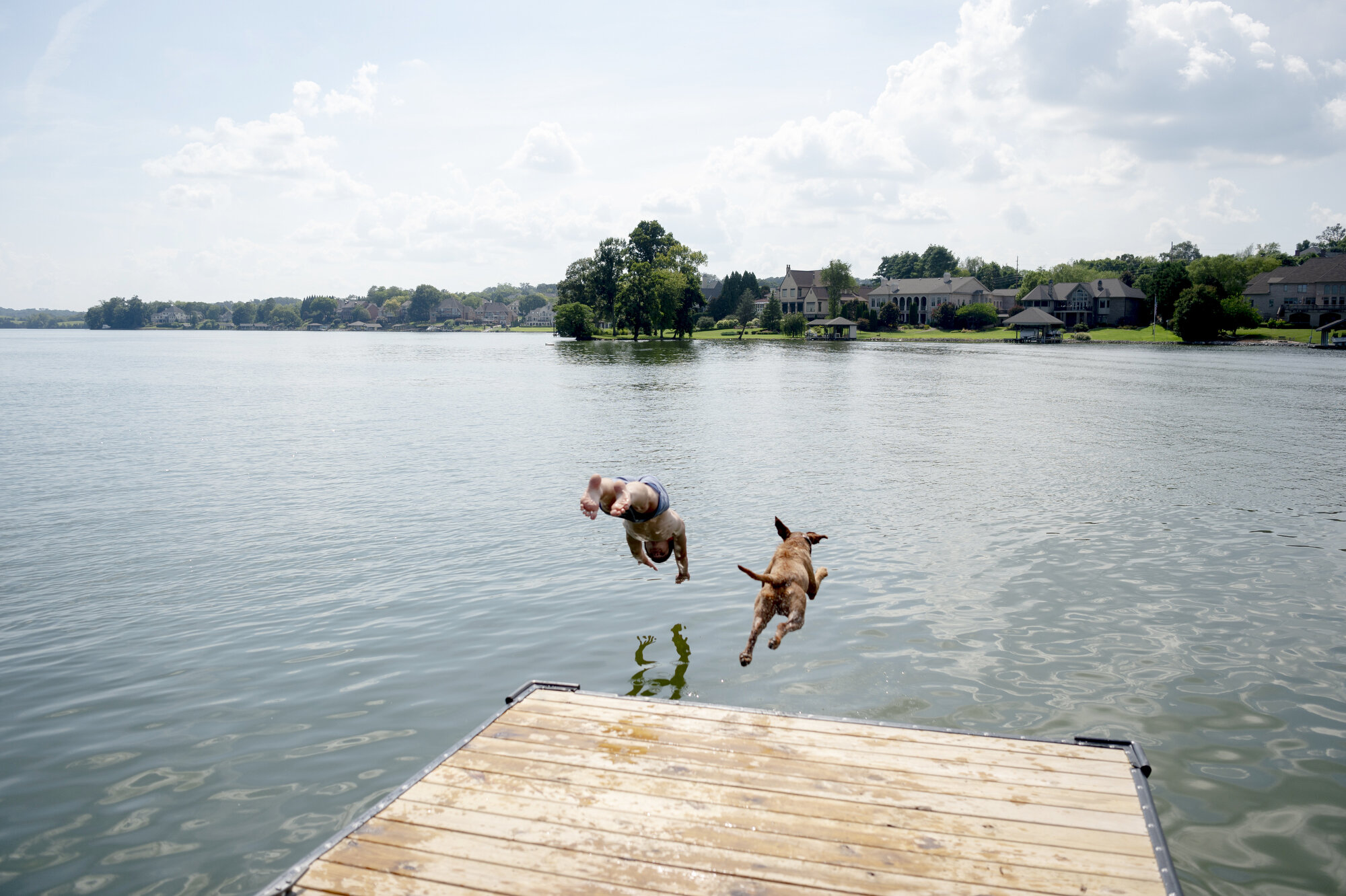  Ethan Fulford dives into Lake Loudoun with his his one-year-old puppy, Loki, at Carl Cowan Park during a hot summer day in Knoxville. 