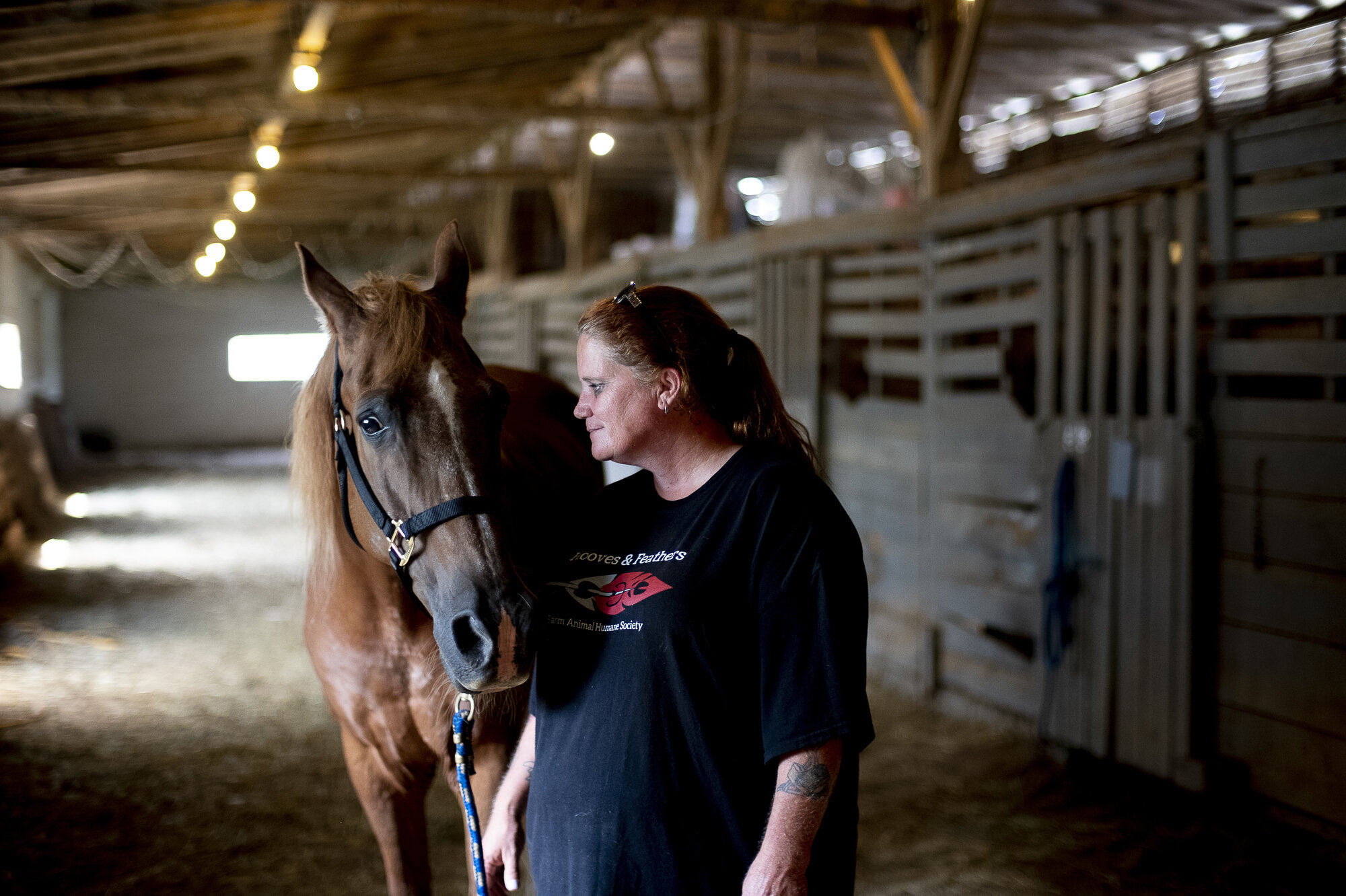  Hooves &amp; Feathers Farm Animal Humane Society Executive Director Stephanie Solomon with 19-year-old Bowie in group's stable in Halls, Tennessee. The nonprofit, which works with local law enforcement agencies to take in neglected farm animals, is 