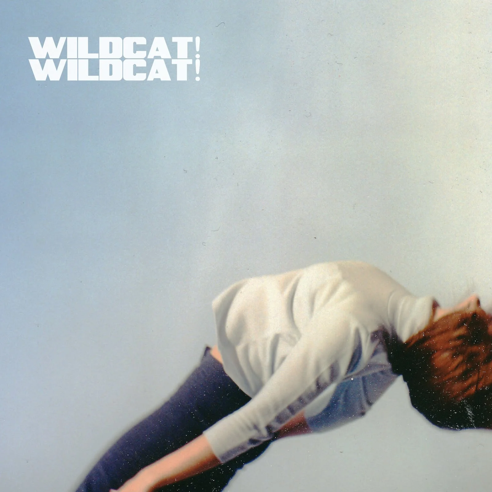 wildcat wildcat ep.jpg