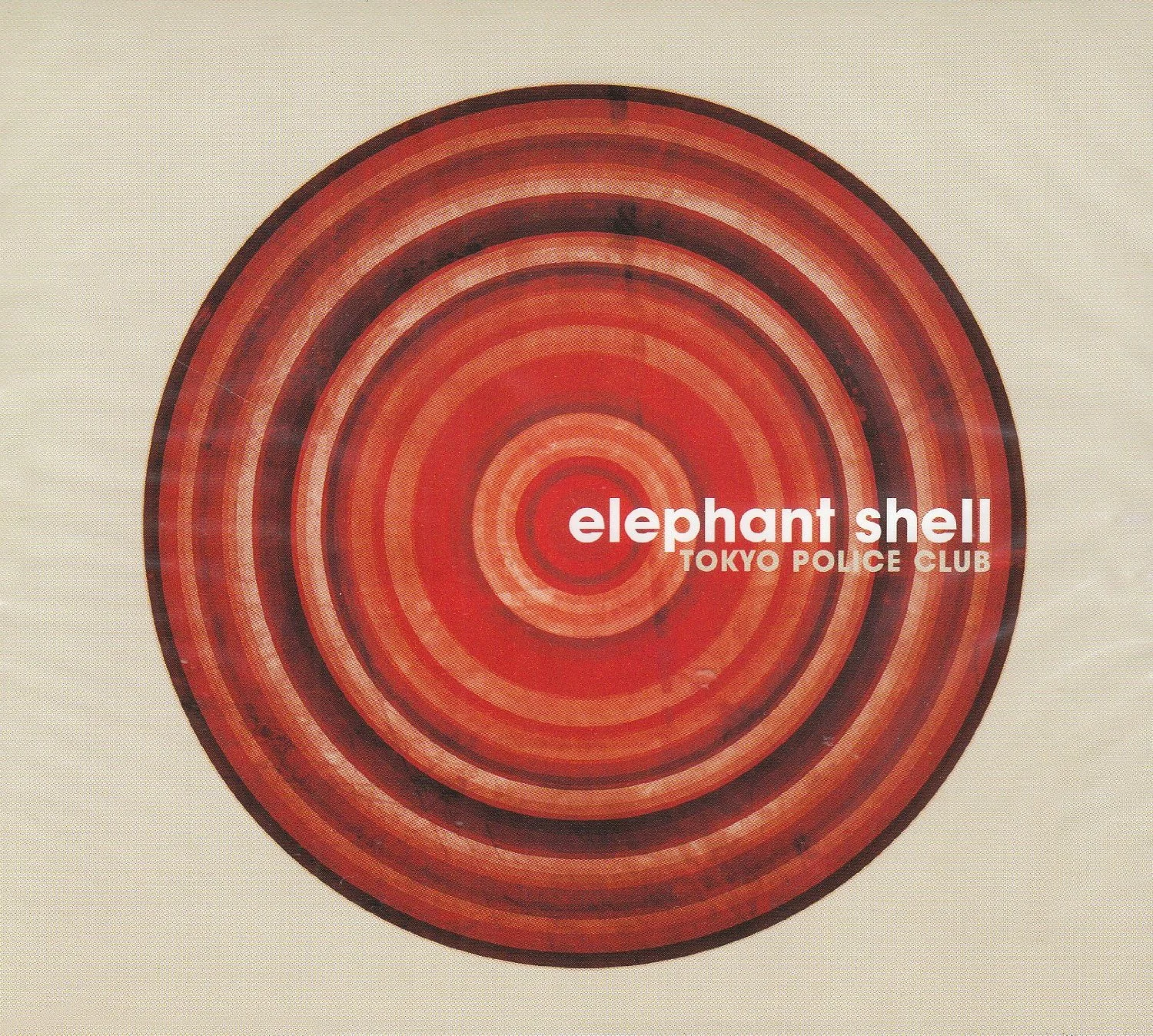 elephant shell.jpg