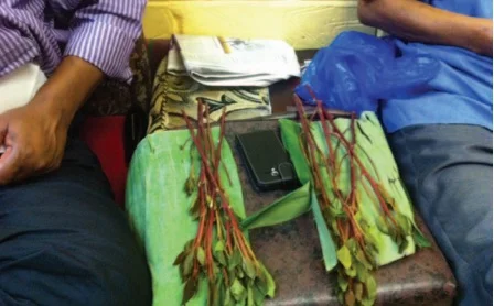 Khat Ban Spells Trouble for 'Somali Pubs'
