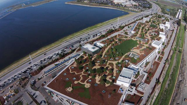 Building 20's giant roof park, as seen from above, with the existing campus in the background