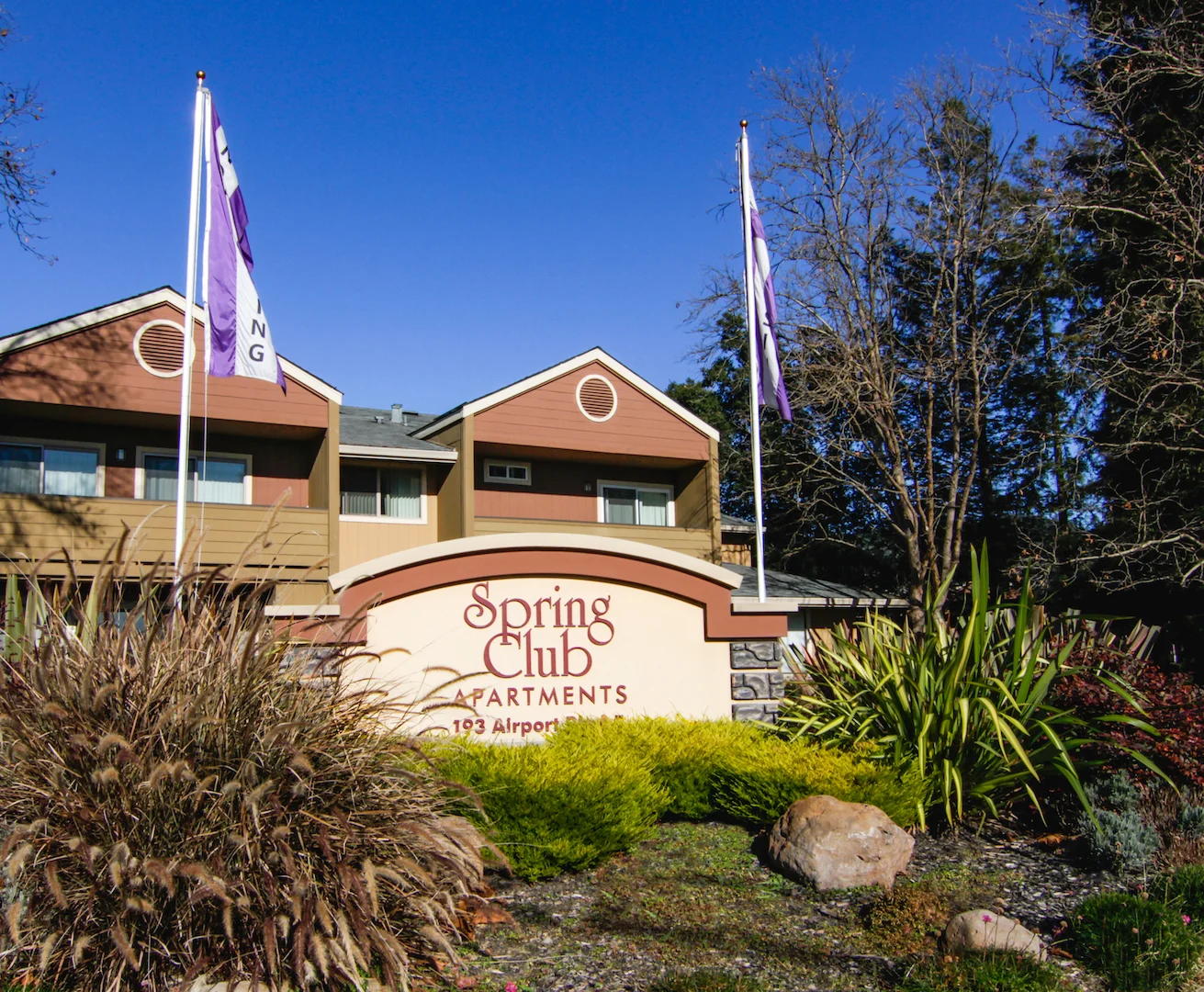 springclub_Resize_4.jpg