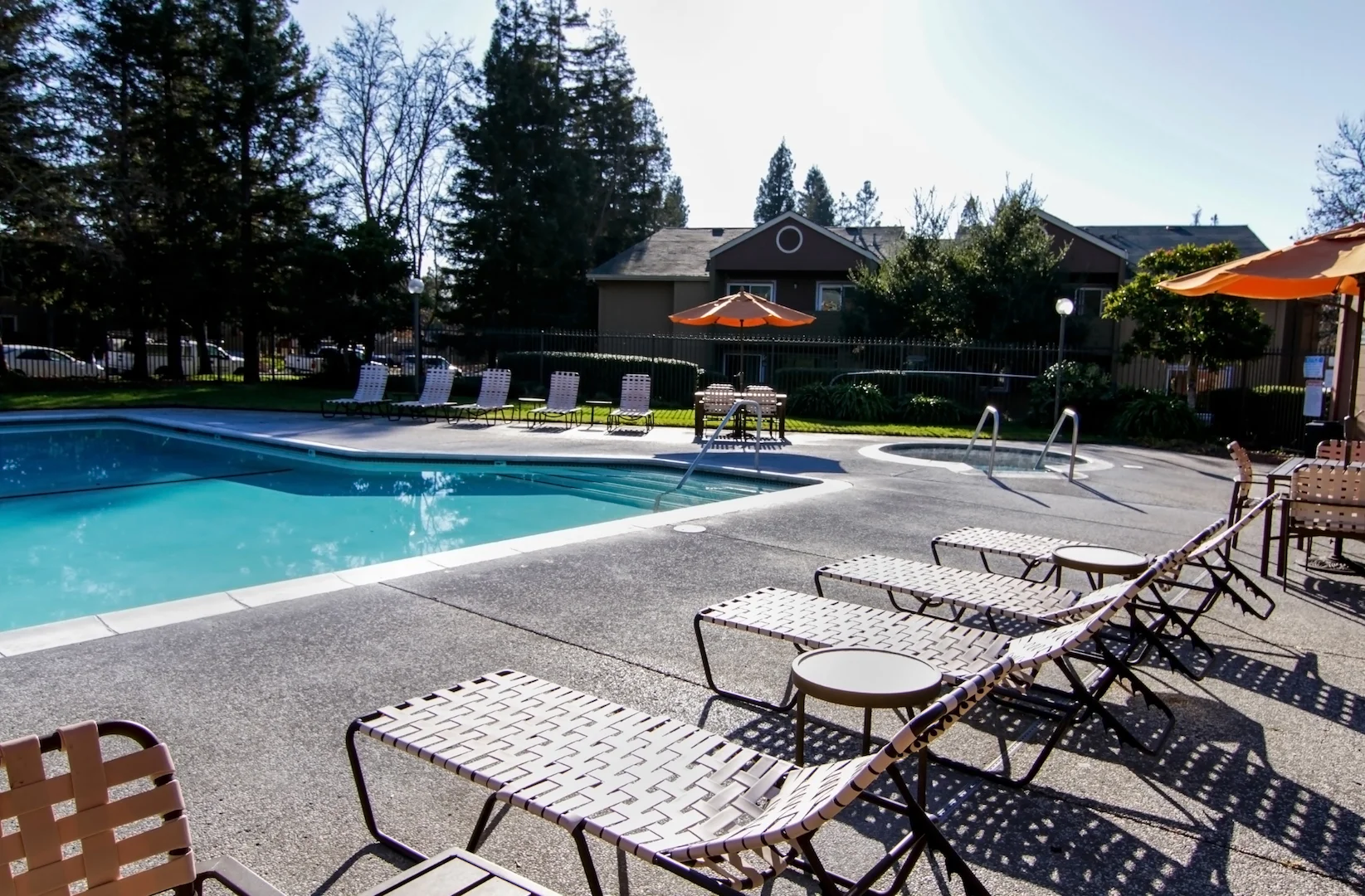 springclub_Resize_11.jpg