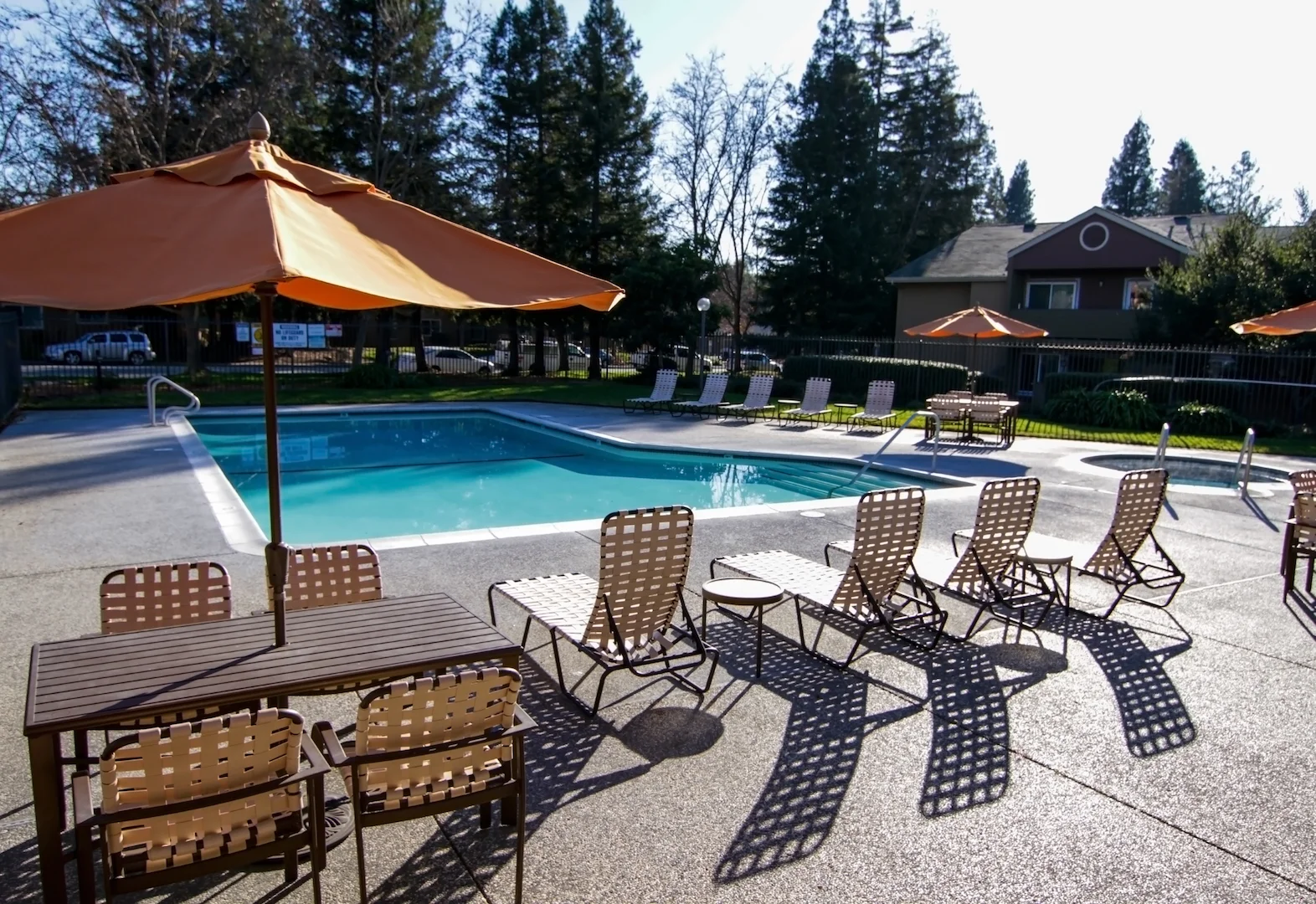 springclub_Resize_10.jpg