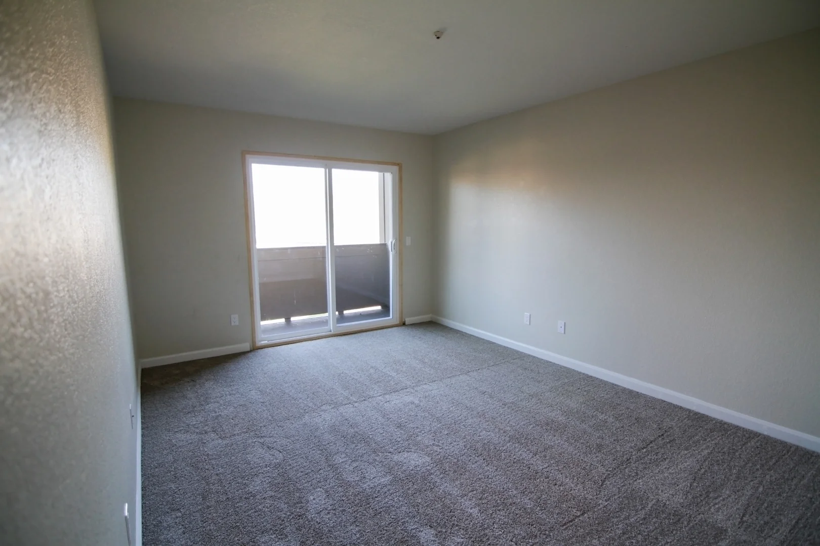 springclub_Resize_24.jpg