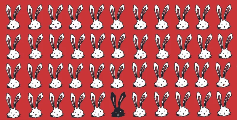 yap-bunny header.jpg