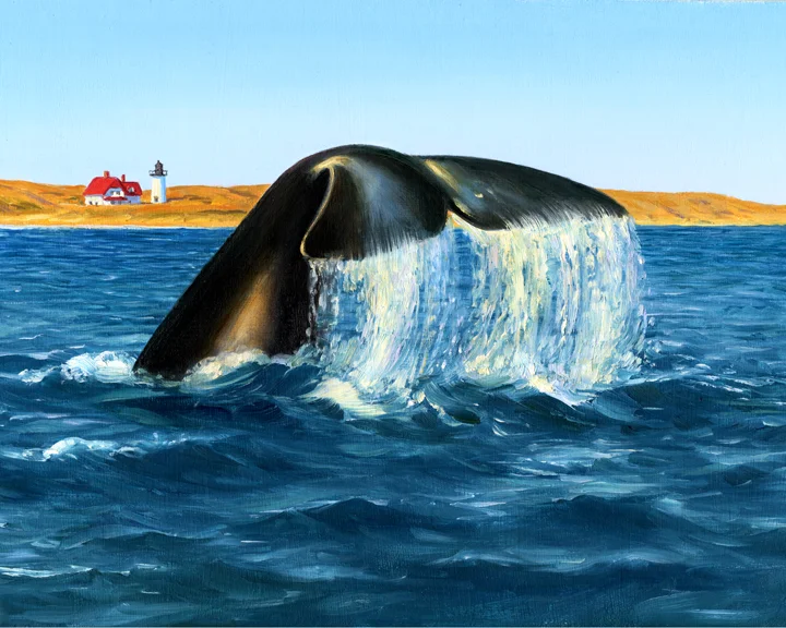Right Whale