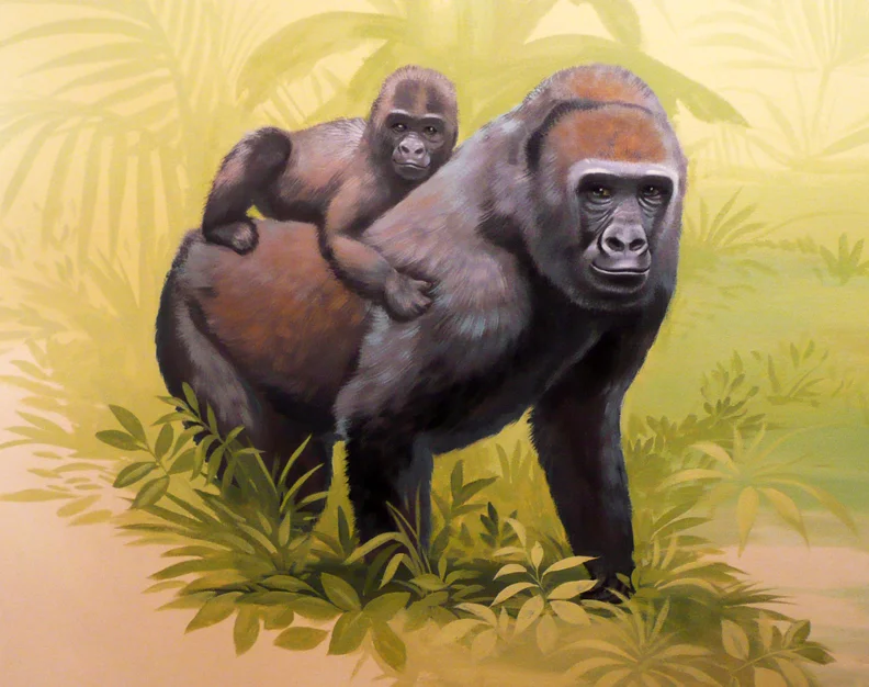 jungle-guerilla.jpg