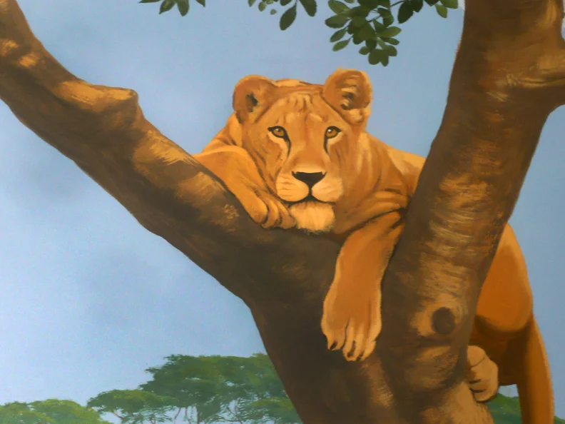 savannah-lion.jpg