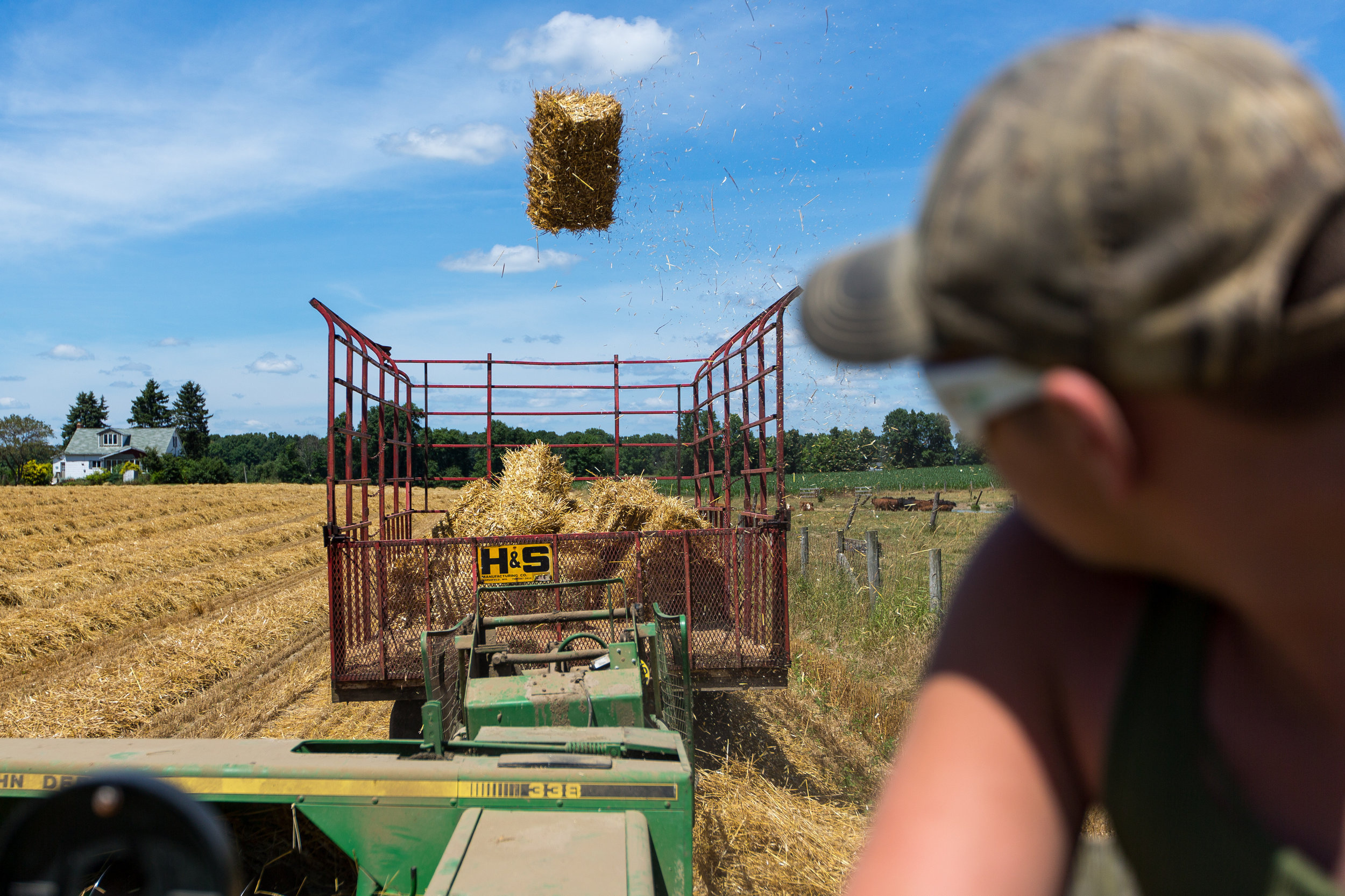  aaron Sniezek, 16, watches as a bail of straw is thrown into a collection trailer at his families farm near New Castle on Sunday afternoon. Sniezek is a third generation farmer on his families 300 acres of wheat, corn, soy, oats and hay.  