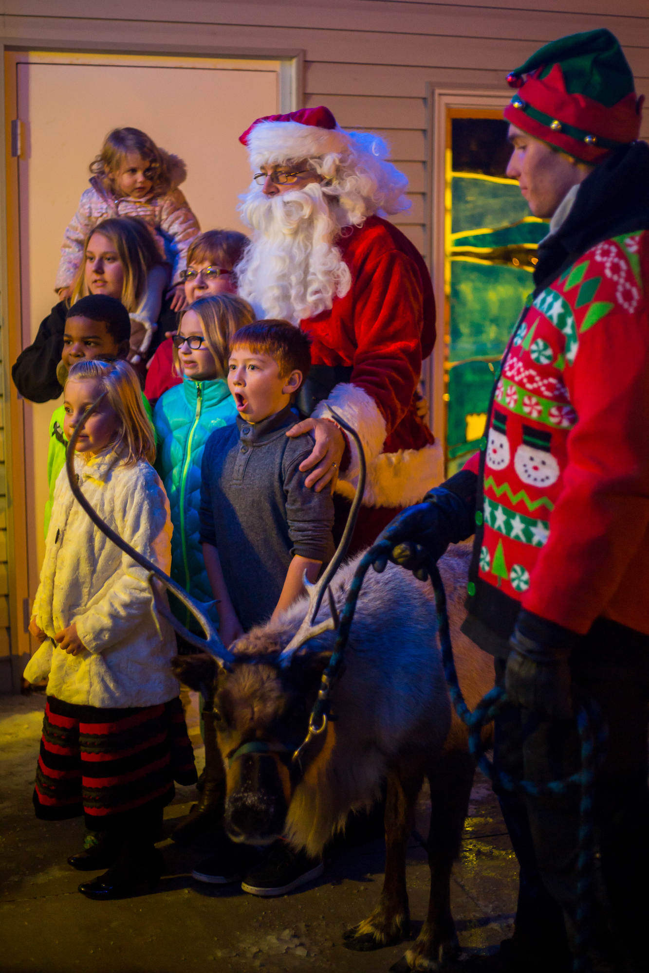  People take a photograph with Clarice, a four-year-old reindeer, at Faith Assemble Church in Belleville on Sunday, December 18, 2016. Carousel Acres has four reindeer that they take to various events and parties around Washtenaw County. Matt Weigand