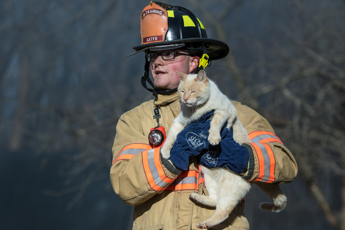  Ann Arbor Township fire fighter Preston Prator carries a cat named Buddy who escaped from a structure fire on Scully Road in Webster Township on Friday, March 10, 2017. The fire completely destroyed the home and a nearby field caught on fire. The ca