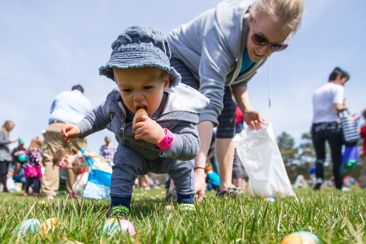  Oliver Ho, 18 months, puts an Easter egg into his mouth during the Easter Egg Scramble at Hudson Mills Metropark in Dexter on Sunday, April 9, 2017. Kids and their parents were able to enjoy an animal show, a visit with the Easter Bunny, get their f