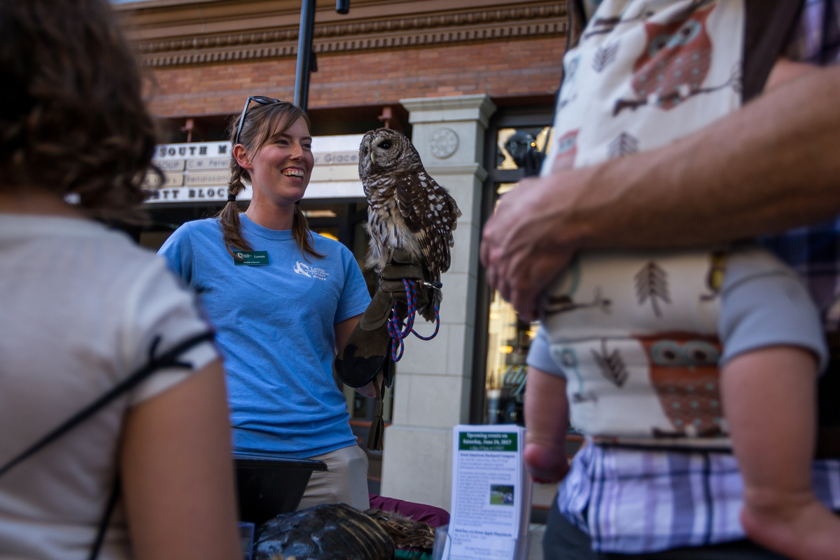  Lannes Smith, of the Leslie Science and Nature Center, holds a Barred Owl during the 17th annual Mayor's Green Fair in downtown Ann Arbor on Friday, June 9, 2017. The Mayor's Green Fair celebrated the community's environmental leadership lead by loc