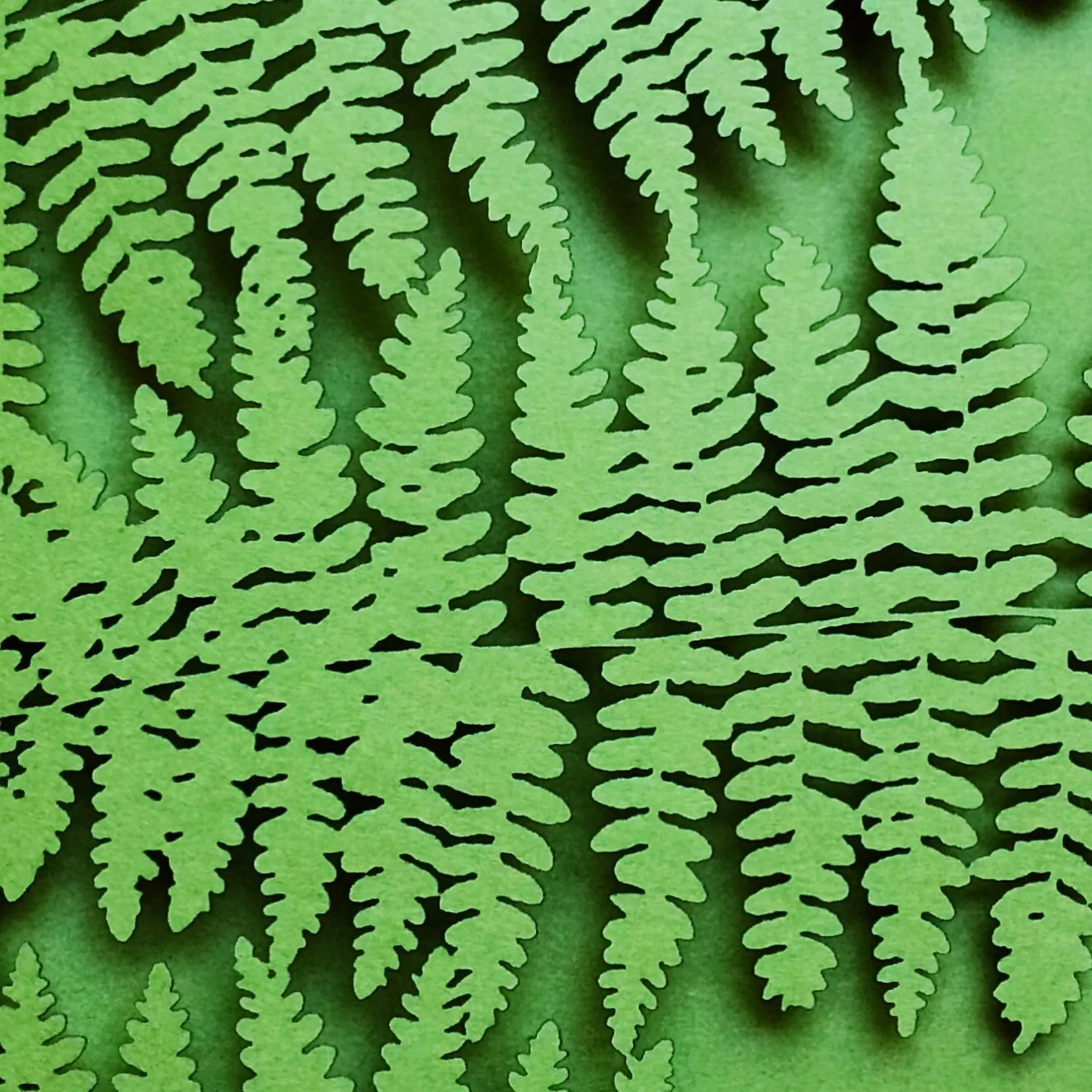 Laser cut fern themed invitations by 6 by 6 Arts.
