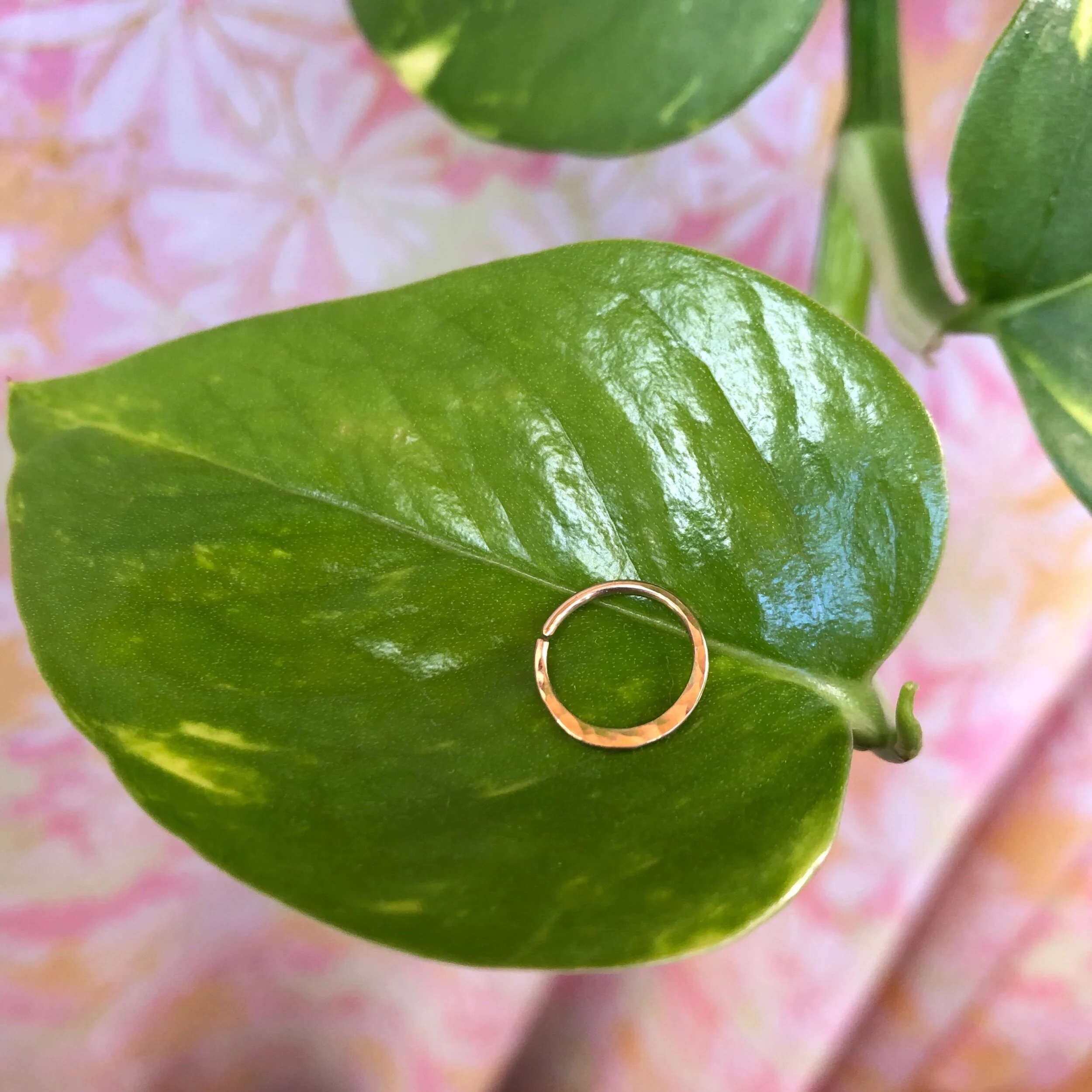 BEEDD8C5-74E0-4302-A24F-9BF8F947BAFB