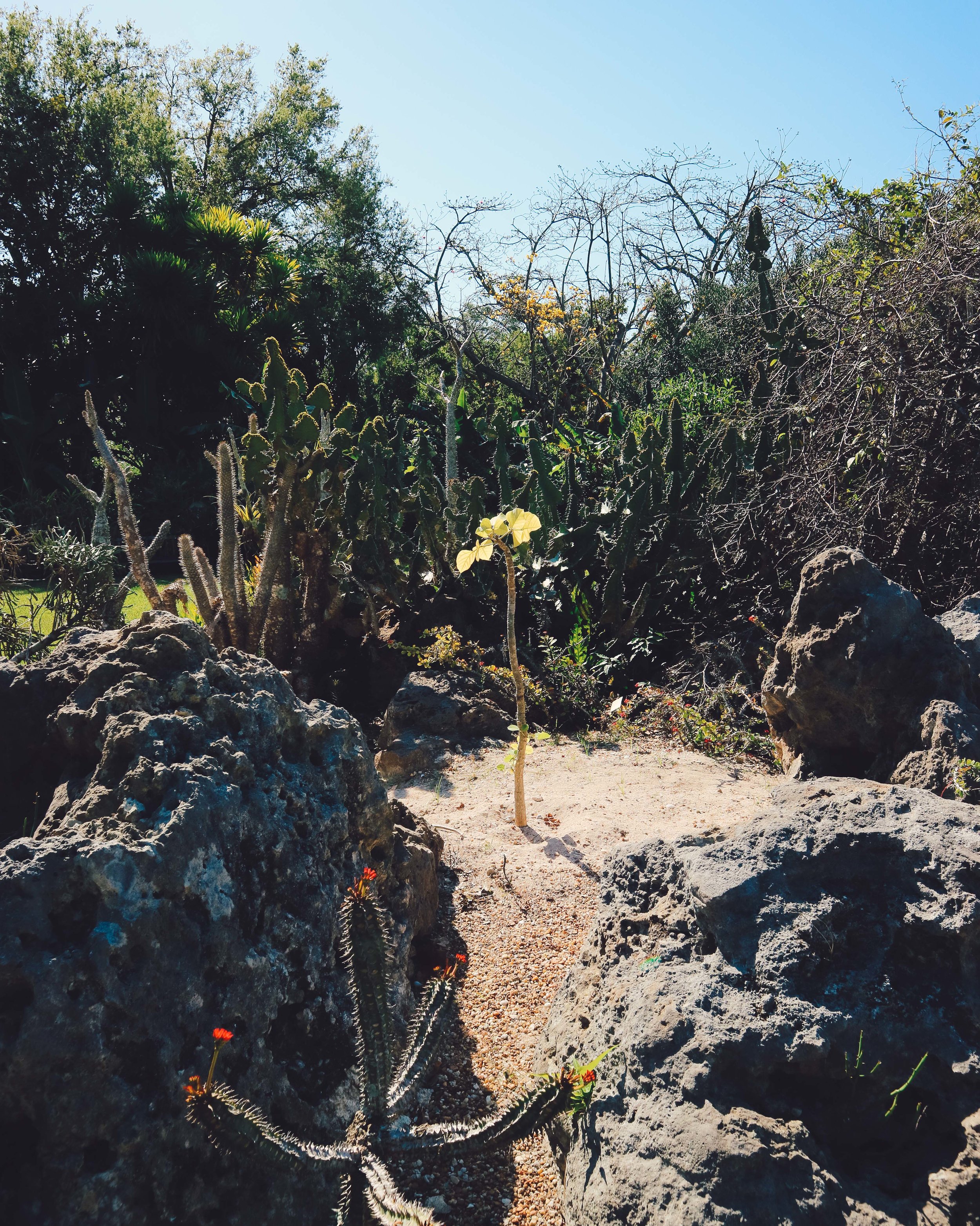 Fairchild-tropical-botanic-garden-13.jpg