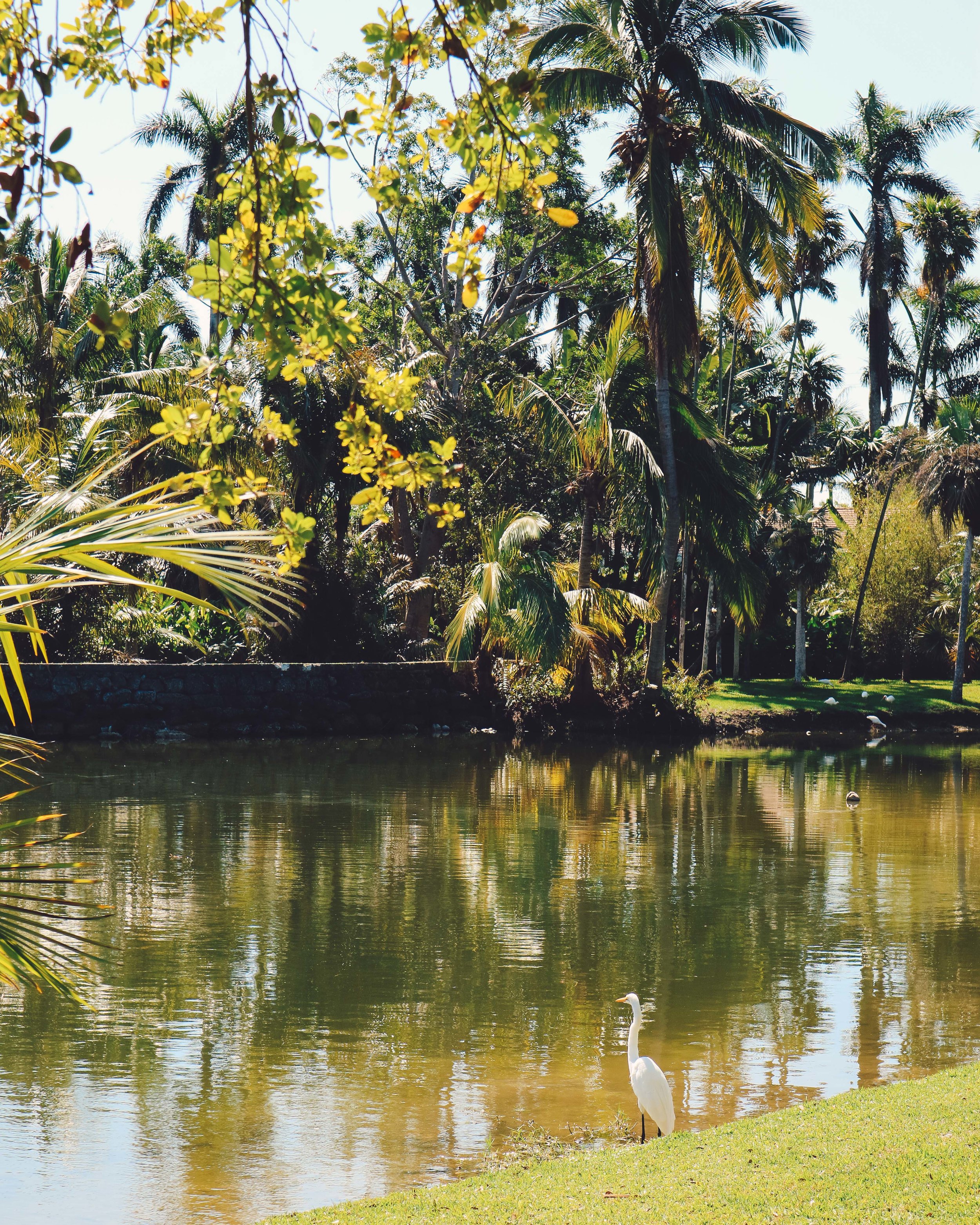 Fairchild-tropical-botanic-garden-32.jpg