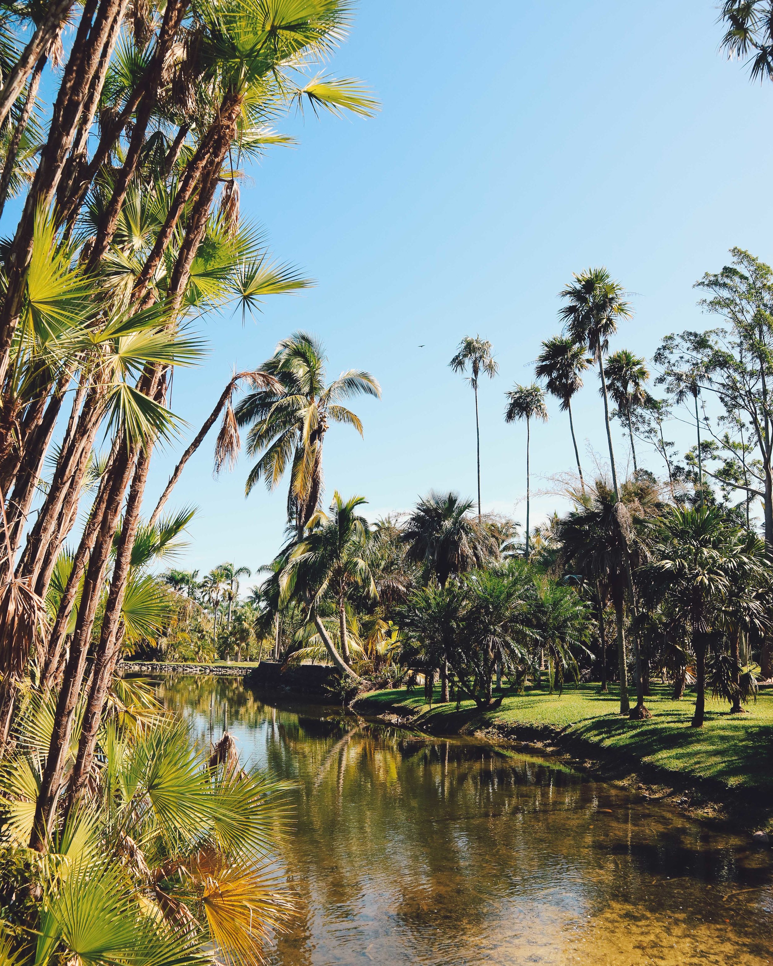 Fairchild-tropical-botanic-garden-37.jpg