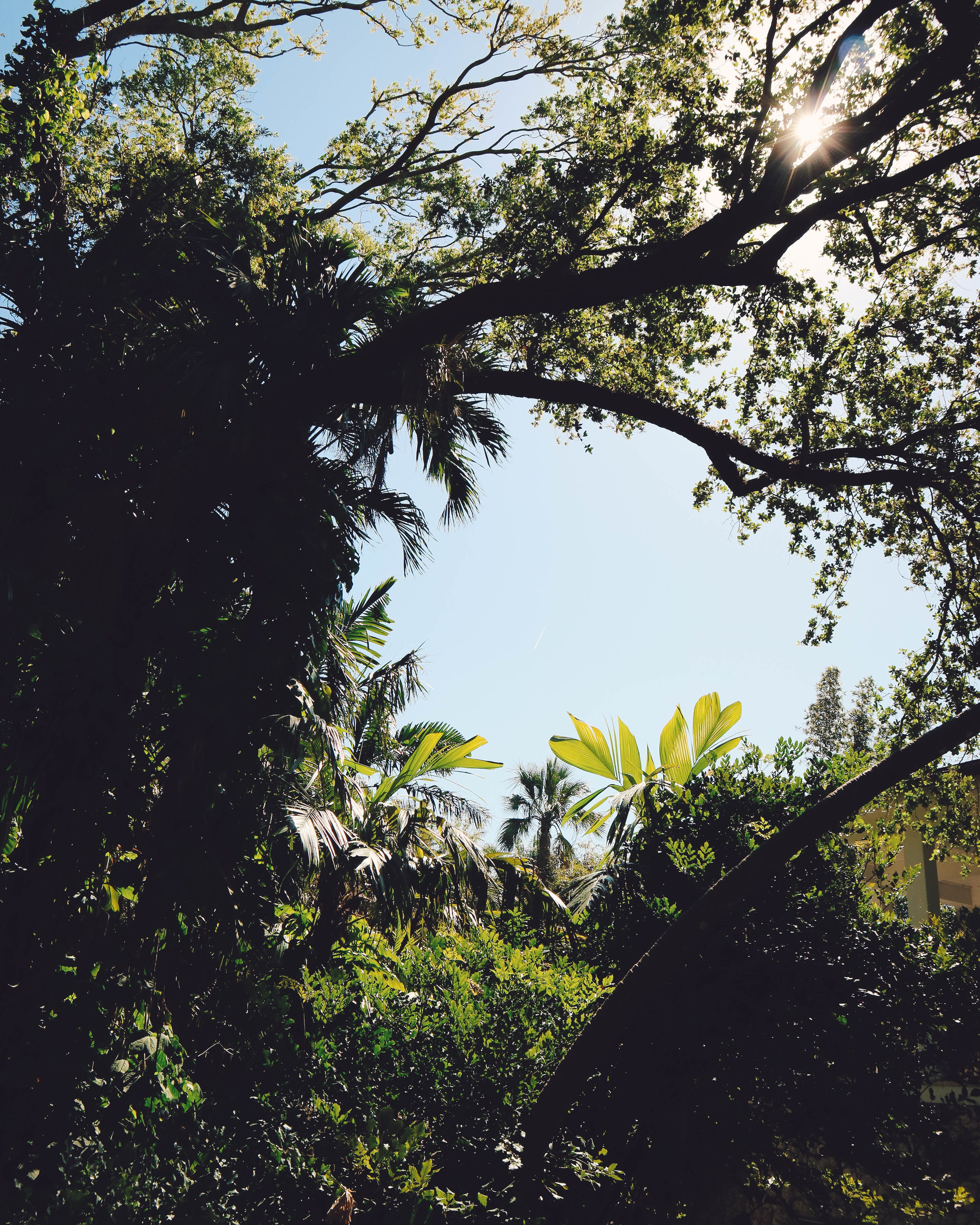 Fairchild-tropical-botanic-garden-46.jpg