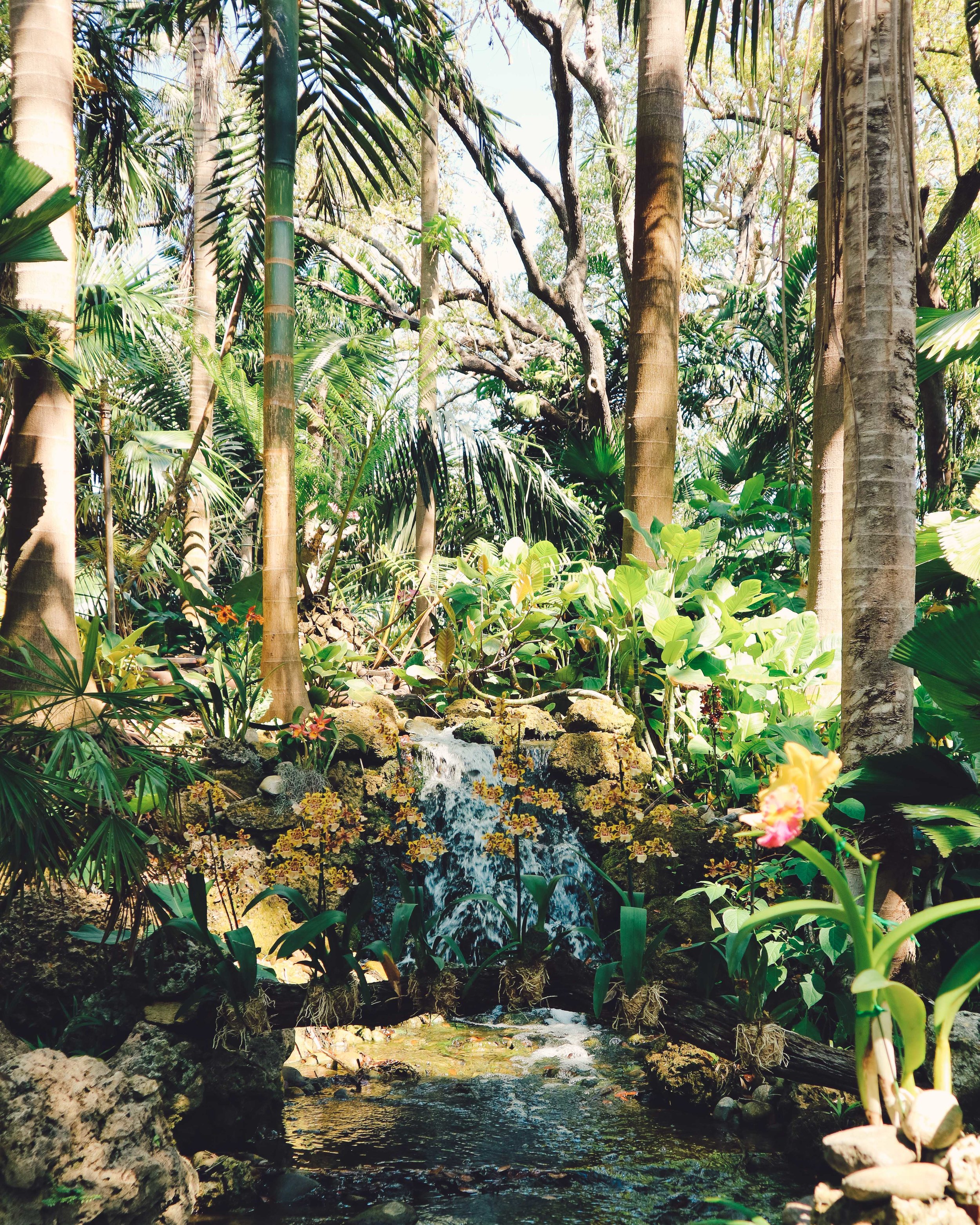 Fairchild-tropical-botanic-garden-47.jpg