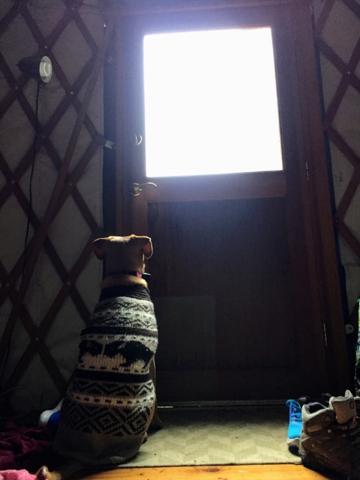 bacon is out there.