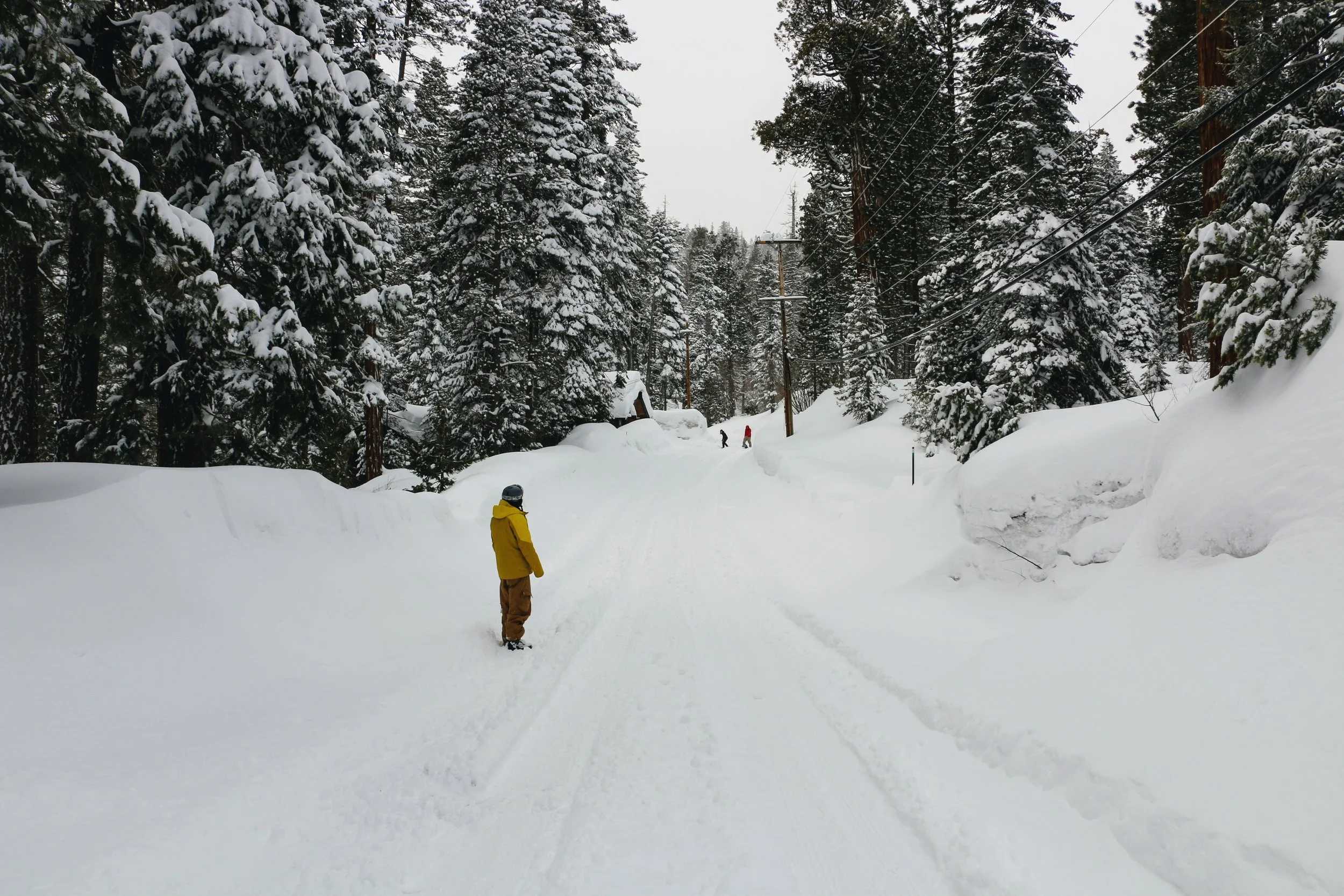 river of colored snow blobs