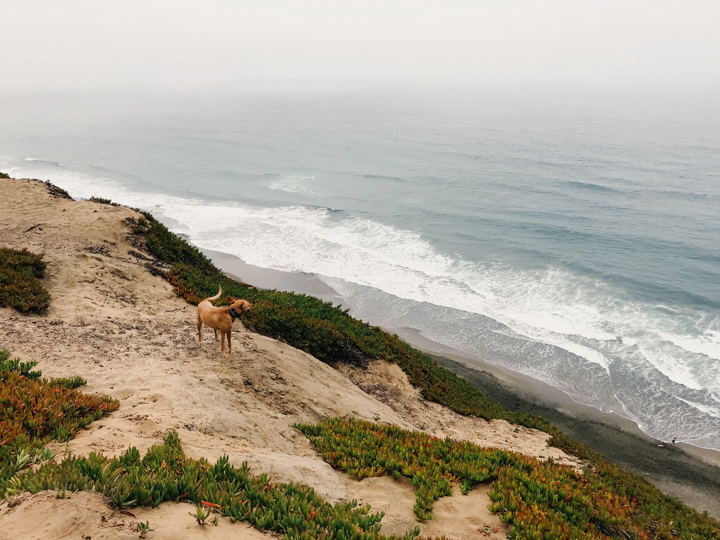 trying to sail through life