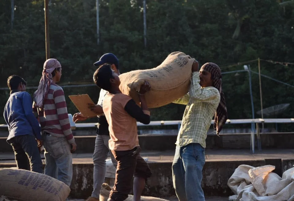 Visiting Palthope Coffee Estate, India