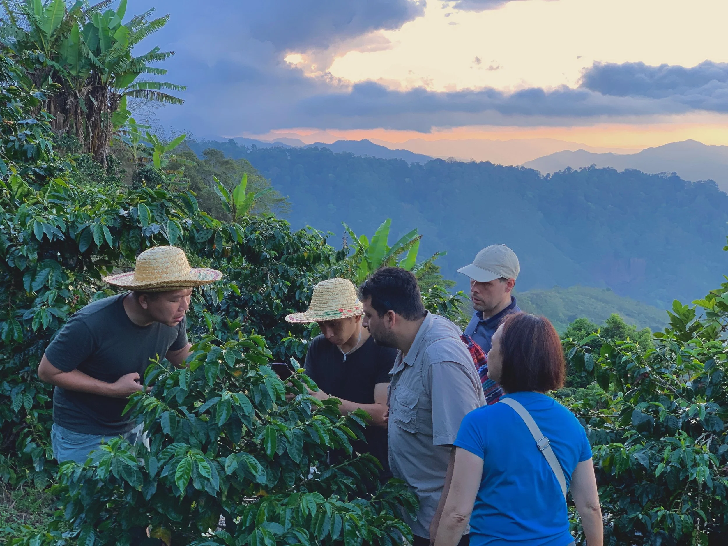 Memorandum Signed During Sabah Coffee Field Trip 