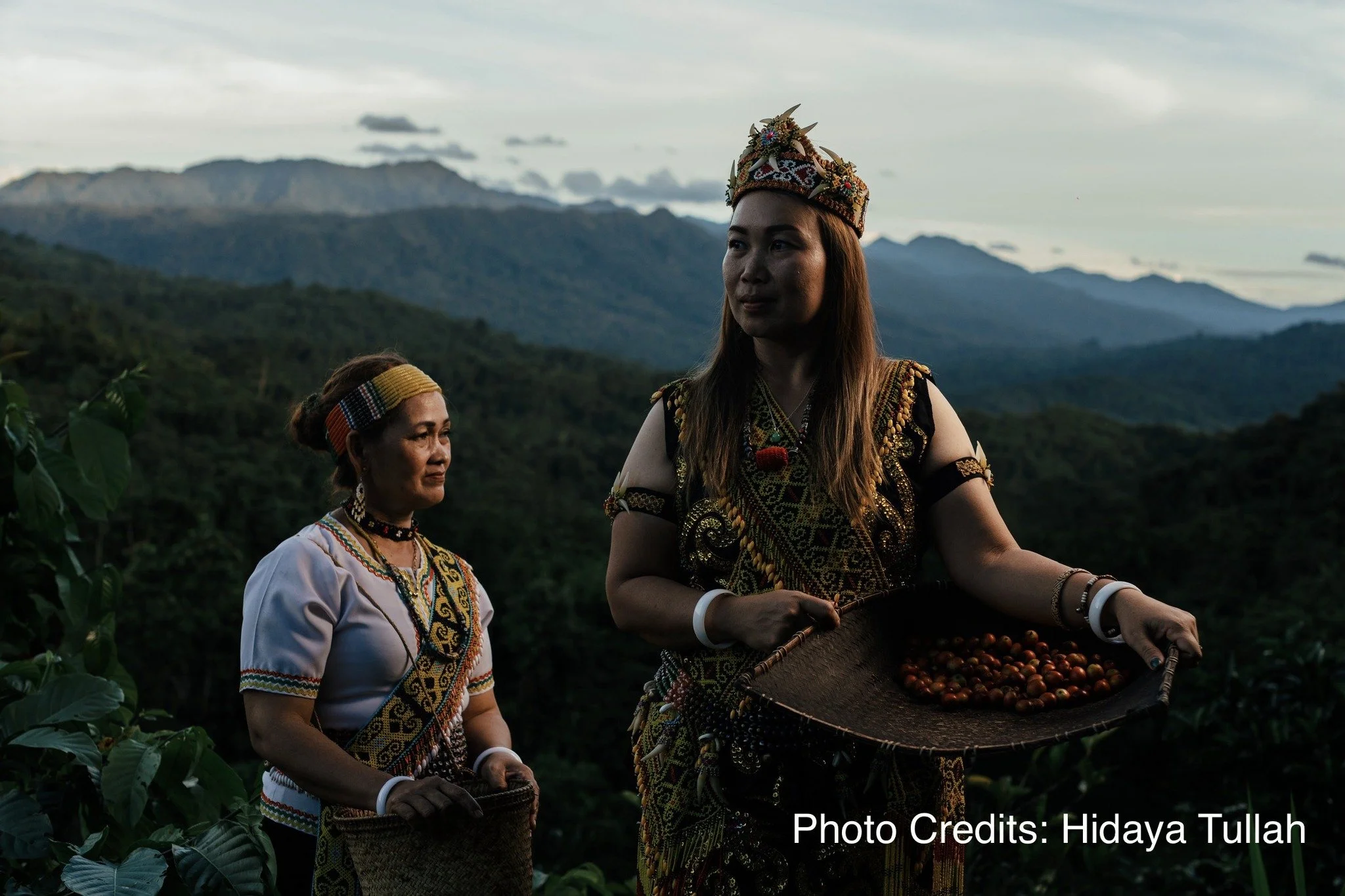 A Business Guide for Sarawak’s Liberica Smallholders