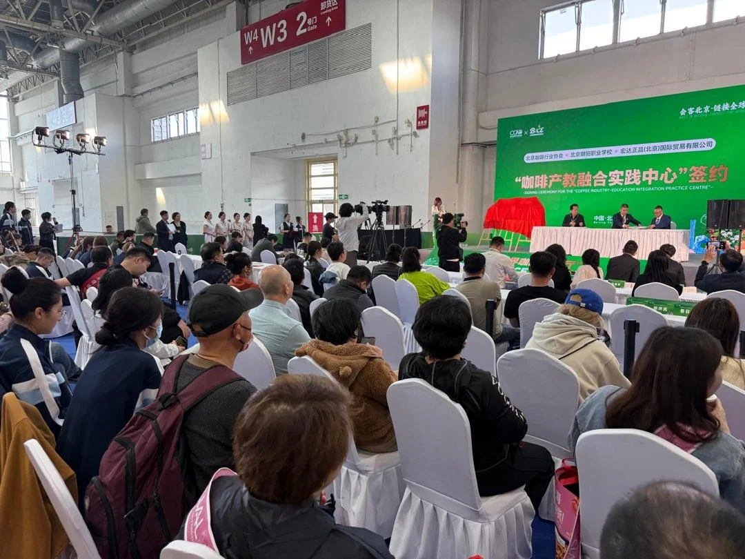 WhatsApp Image 2026-04-21 at 22.36.41.jpeg