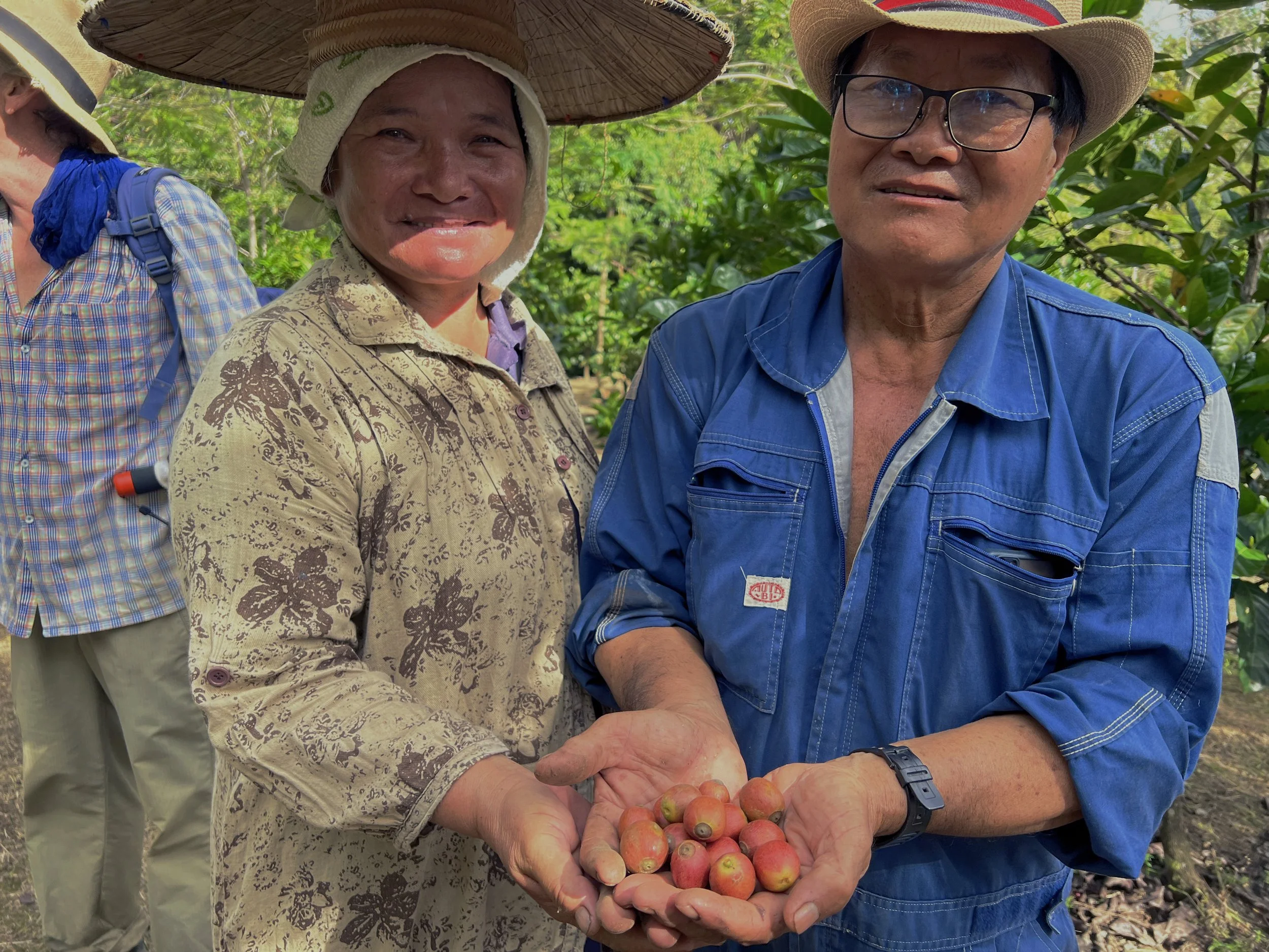 Libex_Liberica_Coffee_Research_Kew_Earthlings_Sarawak_10.jpg