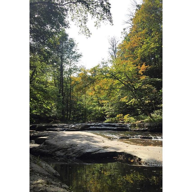 Golden Leaves on Coxing Kill