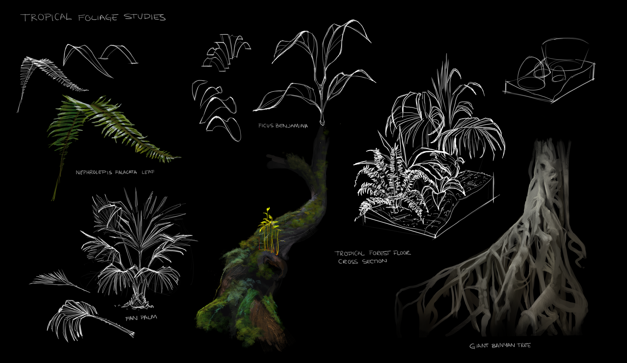 Jungle-Foliage-Page.png