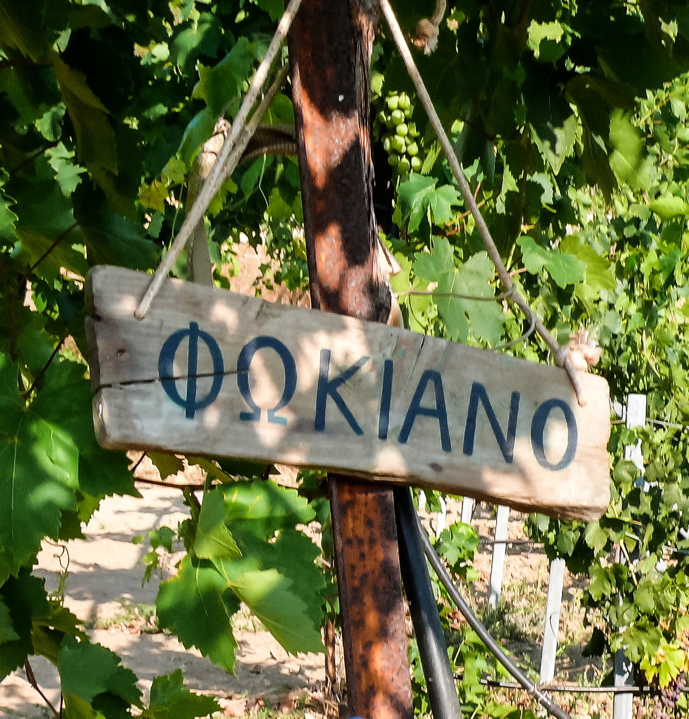 fokiano sign.jpg