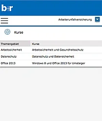 Darstellung auf dem Smartphone