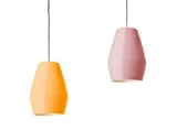 Bell-rose-yellow_NorthernLighting copyTN.JPG