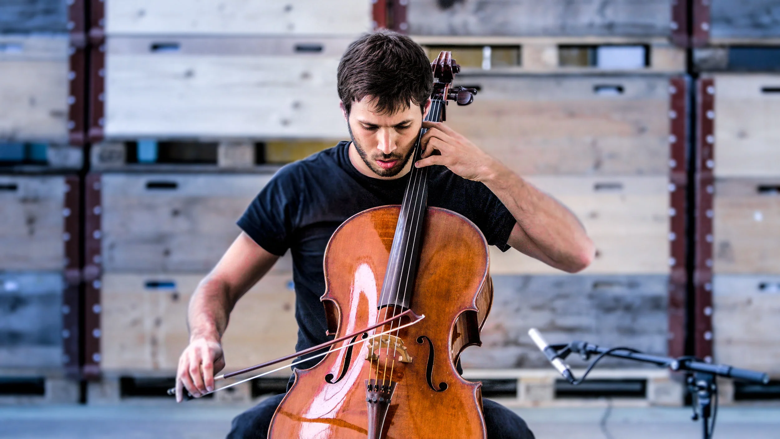 timothee botbol.jpg