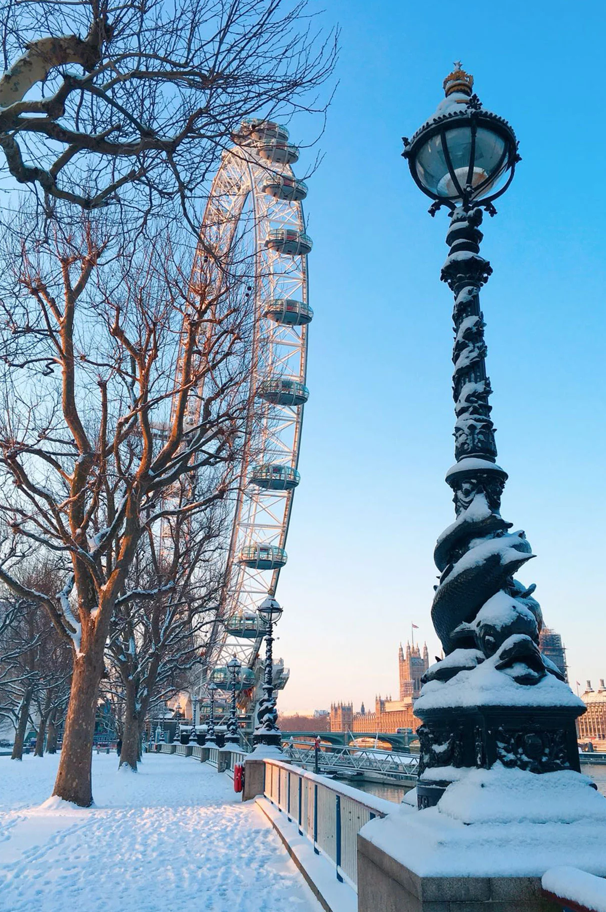 Hooray_snow_eye.jpg