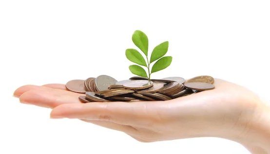 growing-money.jpg