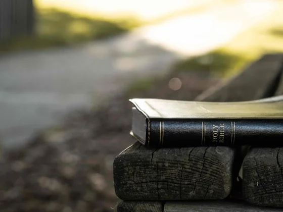 Bible and bench.jpg