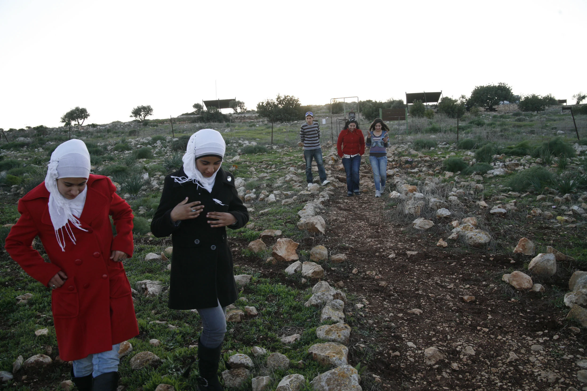 Young journalists from Jenin area, looking for the remains of their grandparents' village near Beth She'an. The stories of the refugees and the right of return are always on the table. (2011)