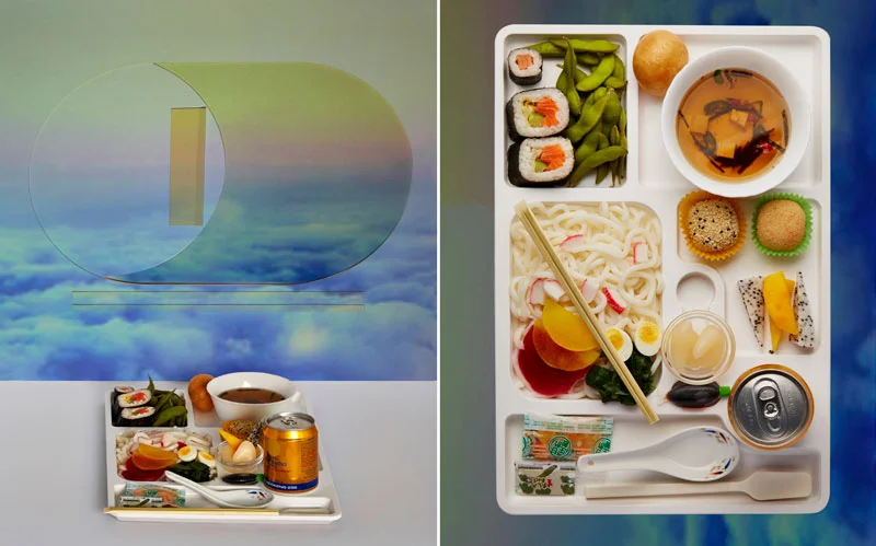 2.Airplane-Food_Bento-dps.jpg